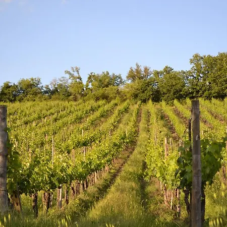 Casale Le Masse Bed & Breakfast