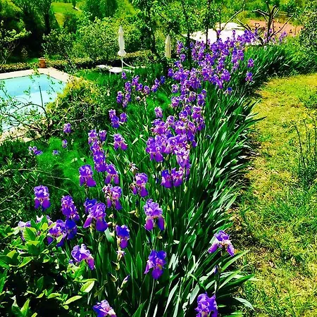 Bed & Breakfast Casale Le Masse Greve in Chianti
