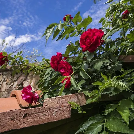 Bed and breakfast Casale Le Masse