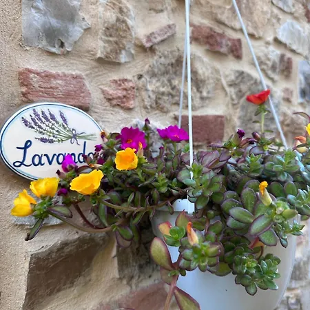 Casale Le Masse Bed and breakfast *
